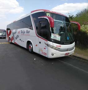 Locadora de Veículos